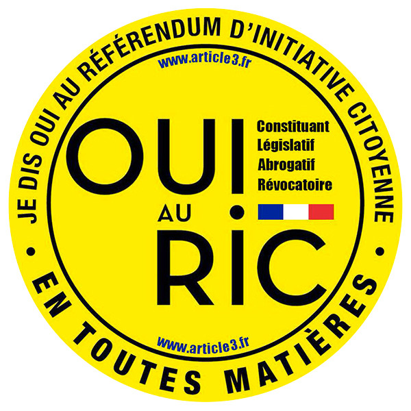macaron-OUI-au-RIC-article-3-600x600